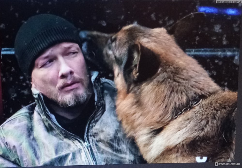 Пёс сериал 2022
