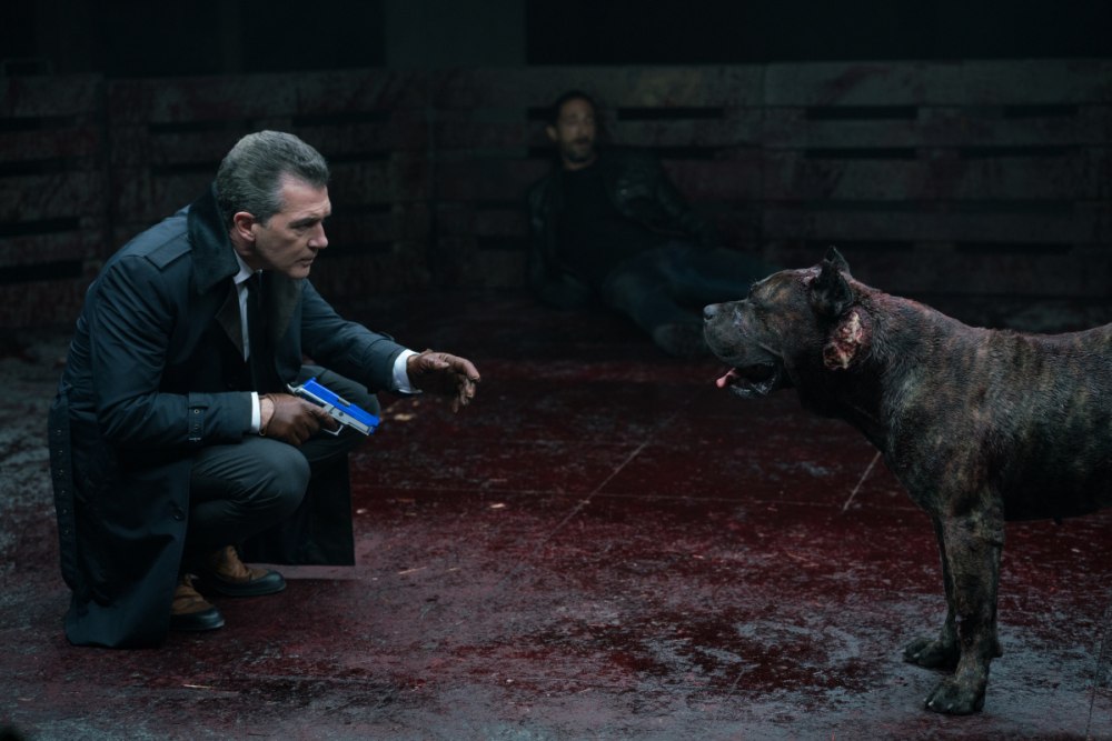 Сериал пёс 6 сезон
