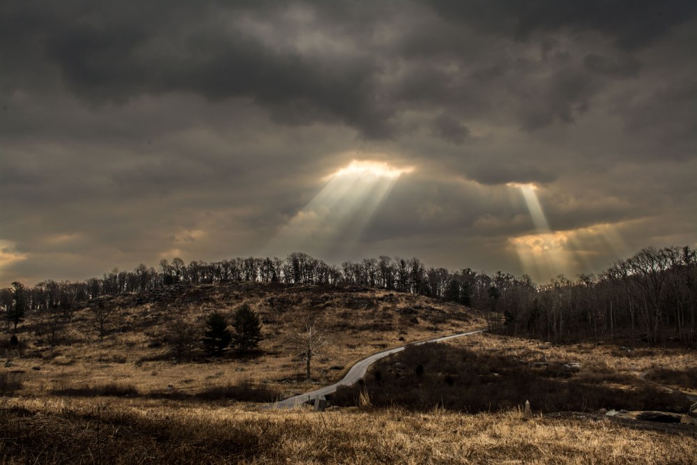 Война и природа