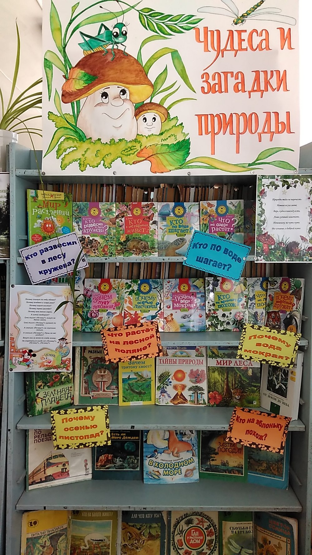 Оформление библиотеки