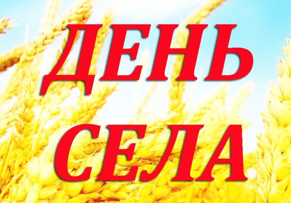 День деревни