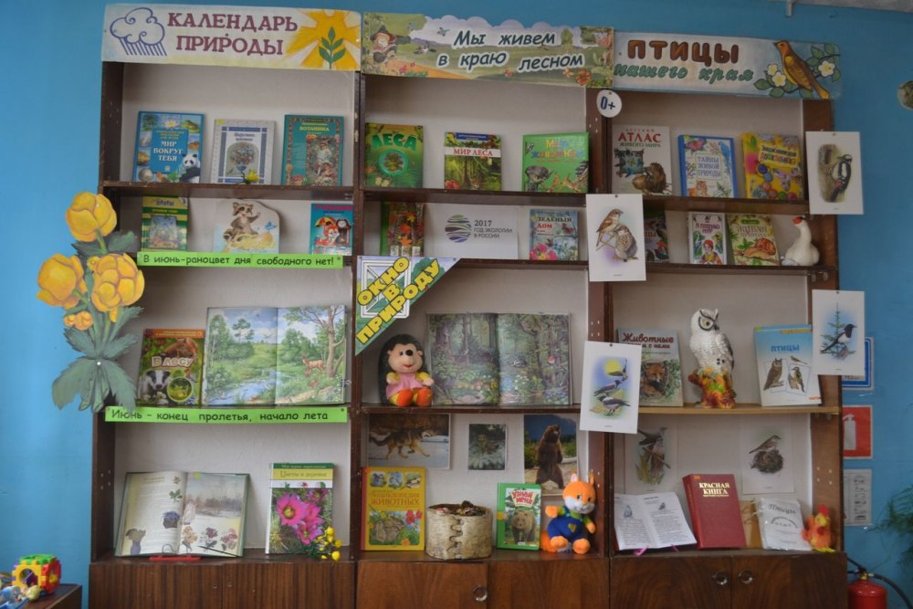 Тематическая книжная выставка