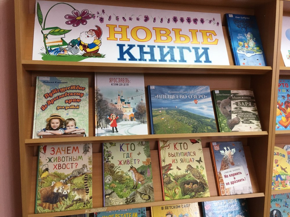 Книжные выставки в библиотеке