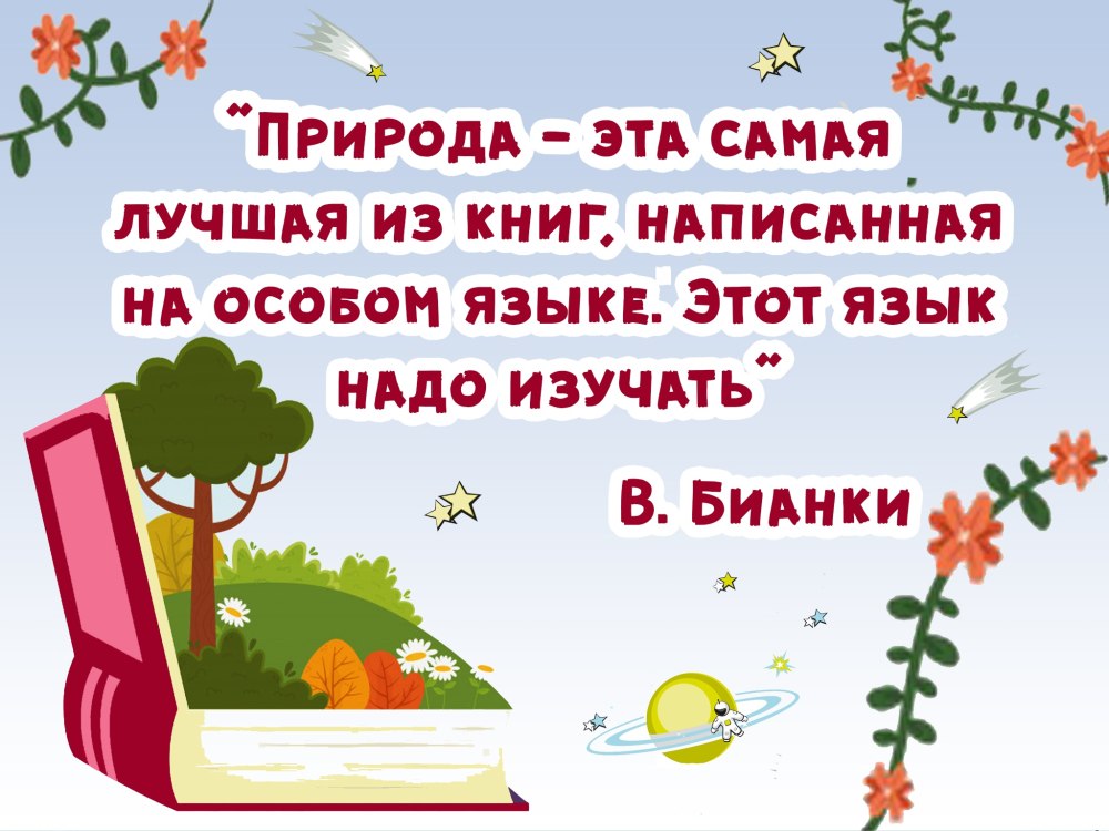 Библиотечные книжные выставки