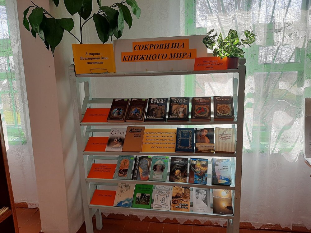 Выставки в библиотеке