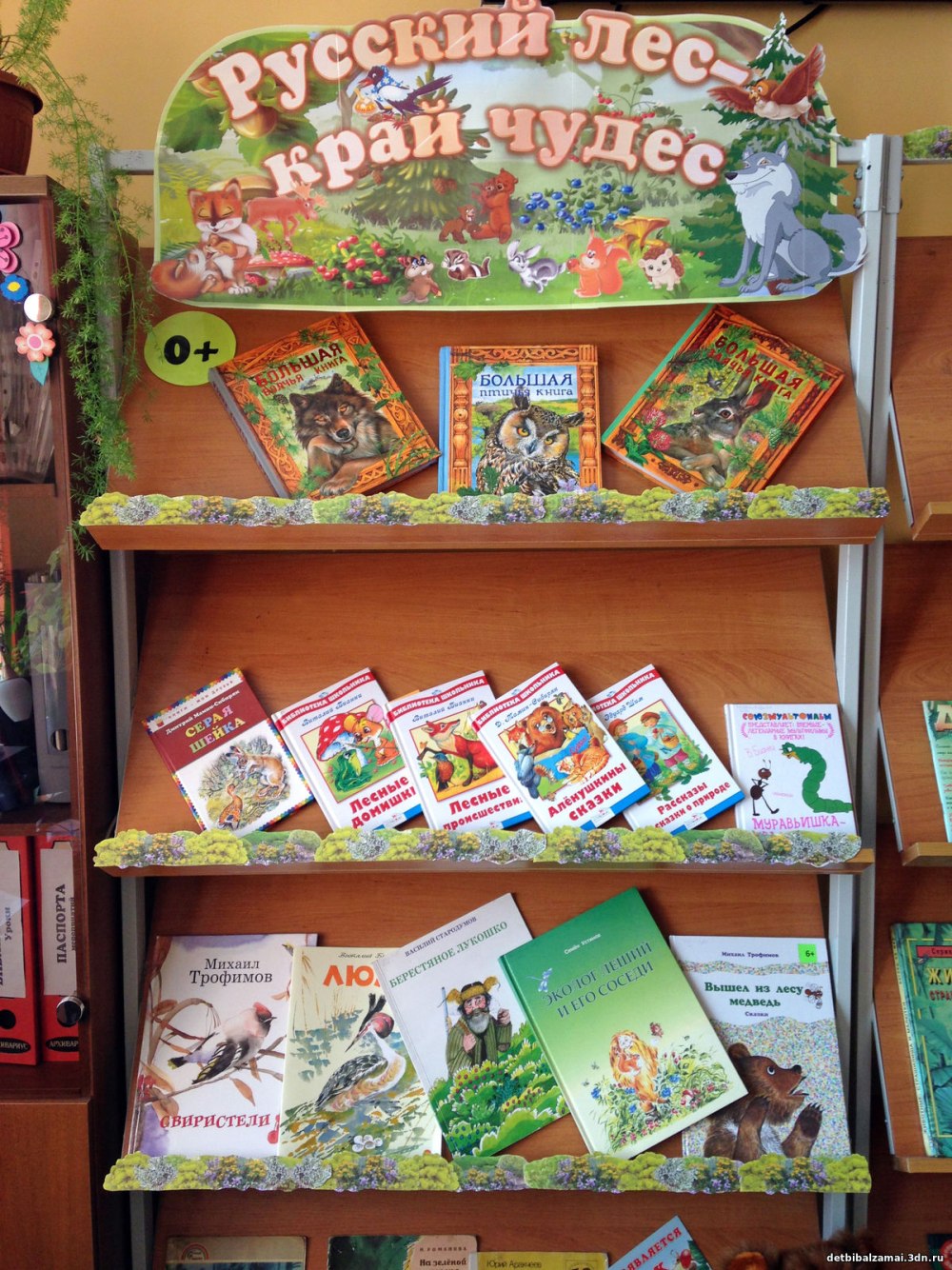 Книжные выставки в детской библиотеке
