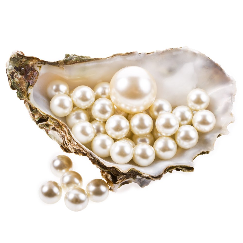 Ракушка розовая "Clam-Pink" (Batissa violacea)