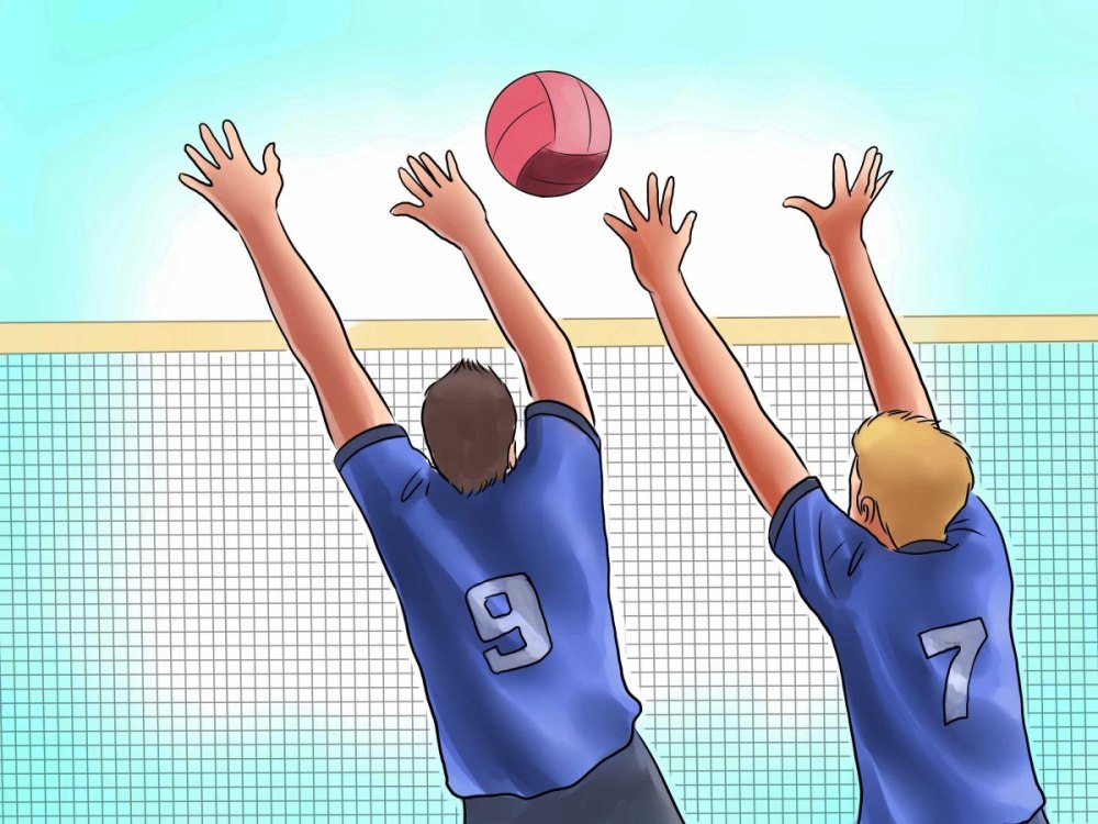 Изображения по запросу Volleyball