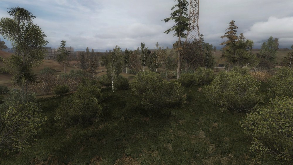 Stalker озеро янтарь