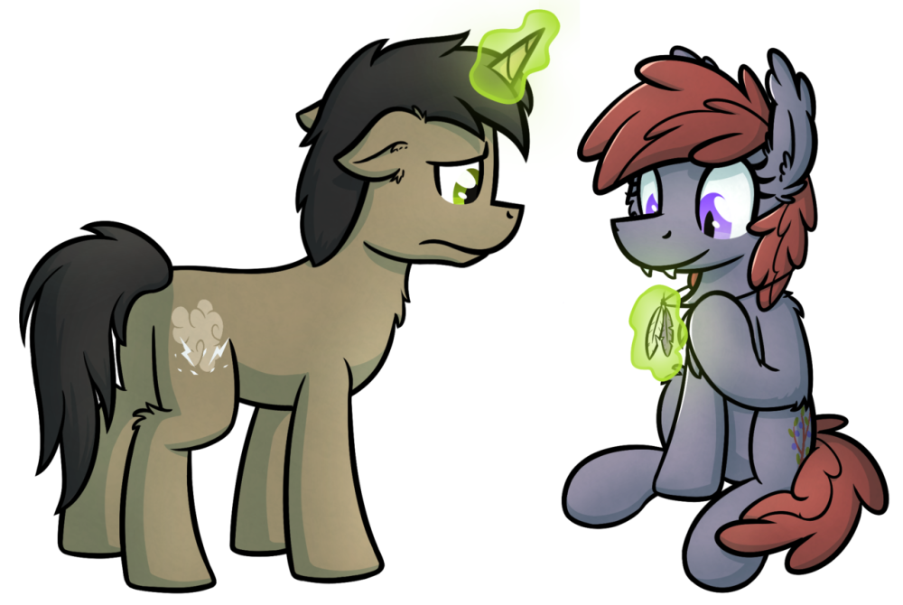 Them's Fightin Herds вельвет и Аризона