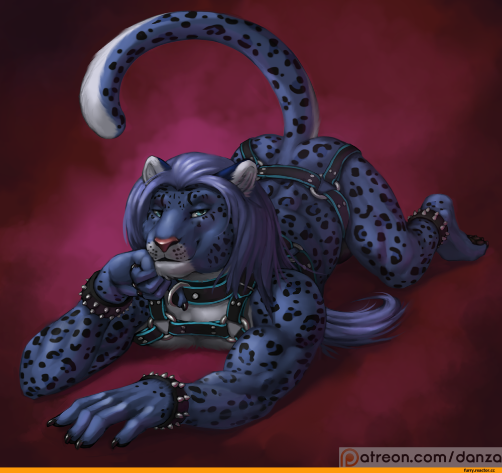 Furry Cat girl
