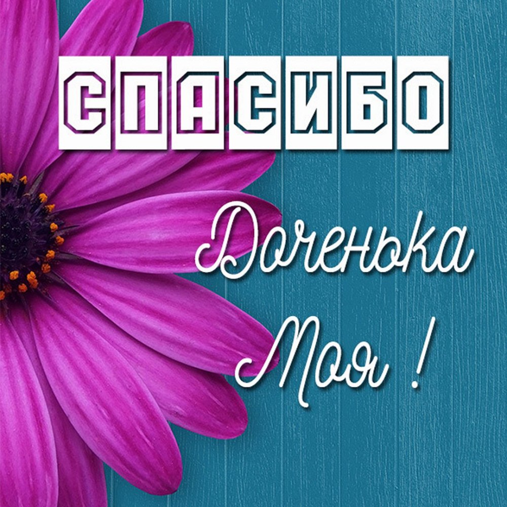 Спасибо доченька