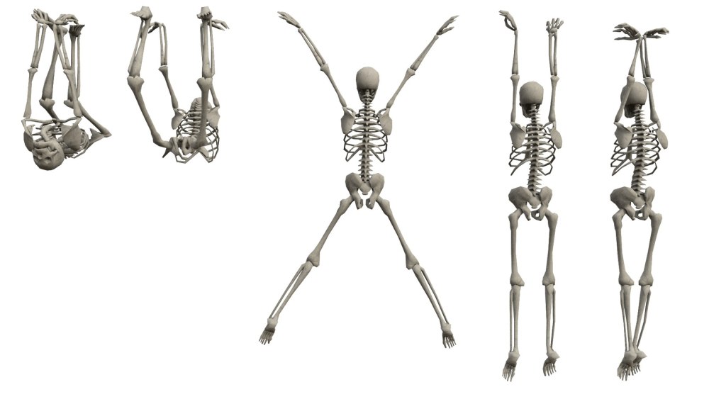 Skeleton Sketch