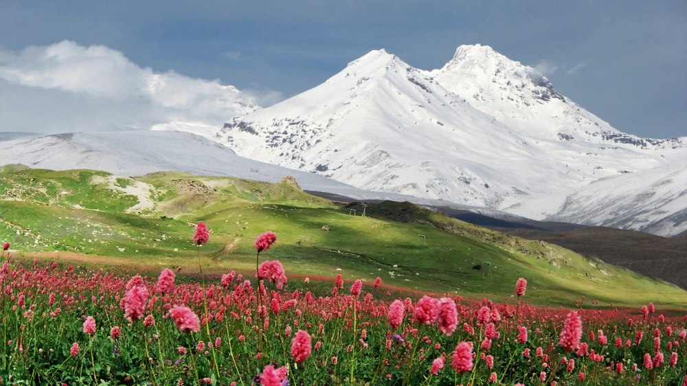 Альпы и Карпаты