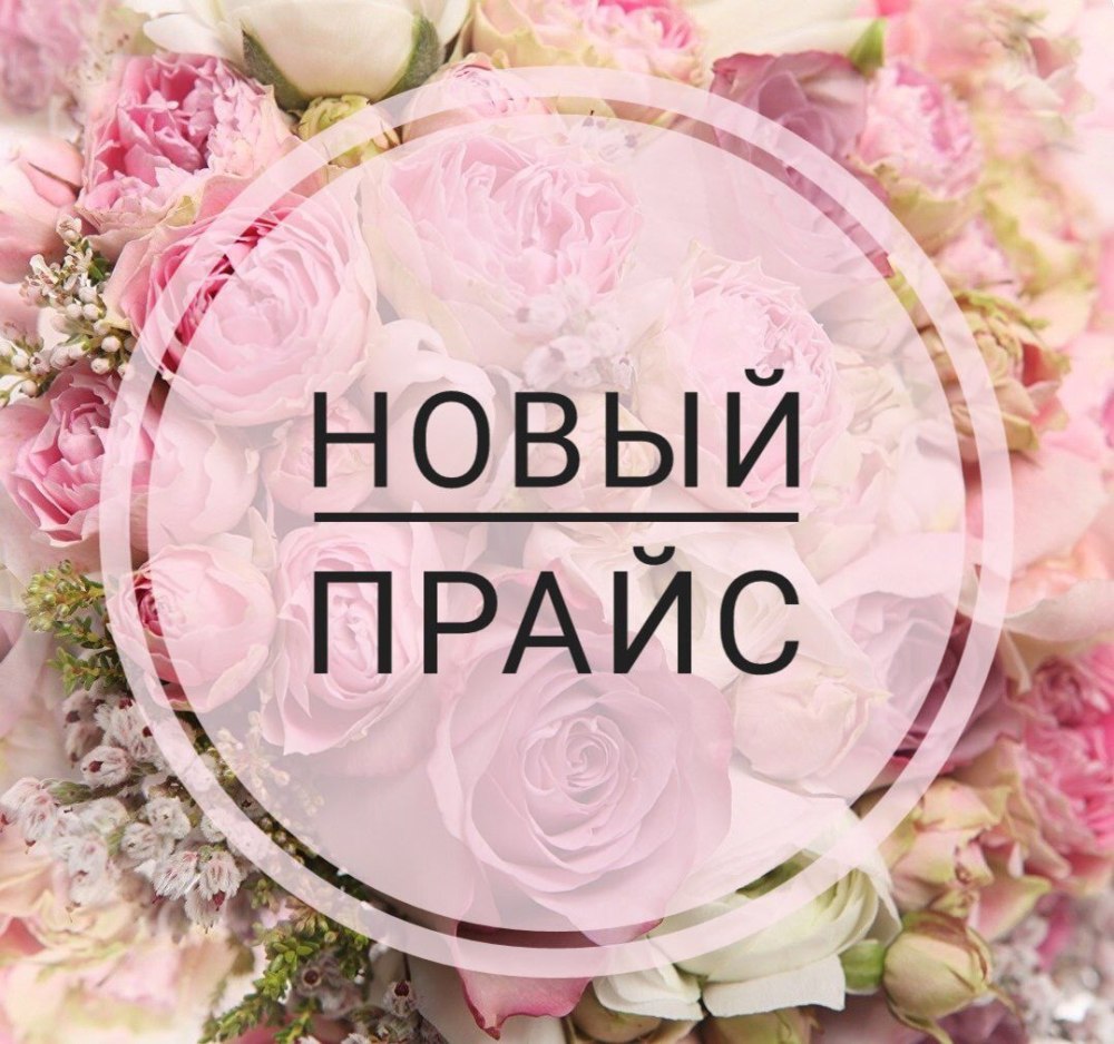 Тина Мицкевич