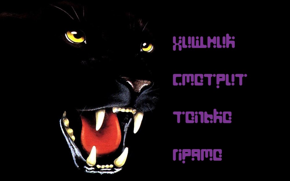 Счастье прямо передтвами