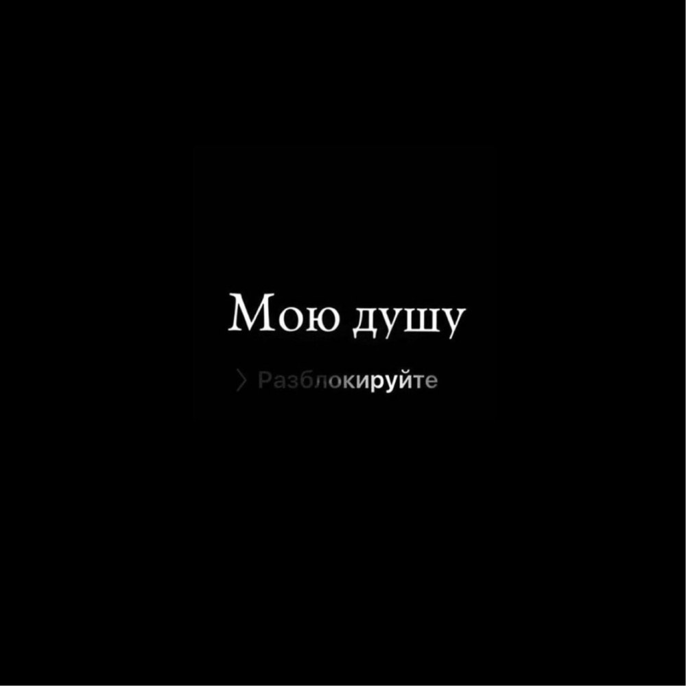 Заставки на экран телефона прикольные надписи
