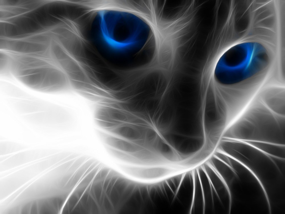 Алмазная вышивка кошачий взгляд