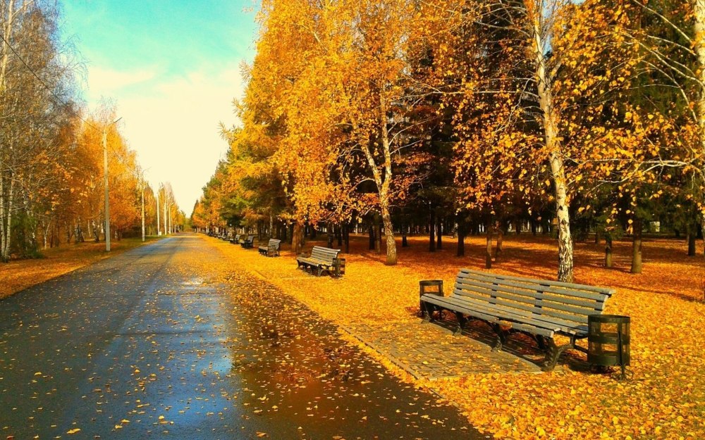 Осенний парк