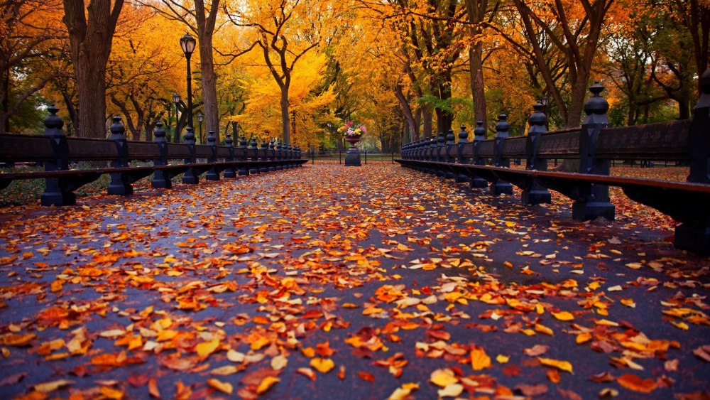 Сентябрь природа