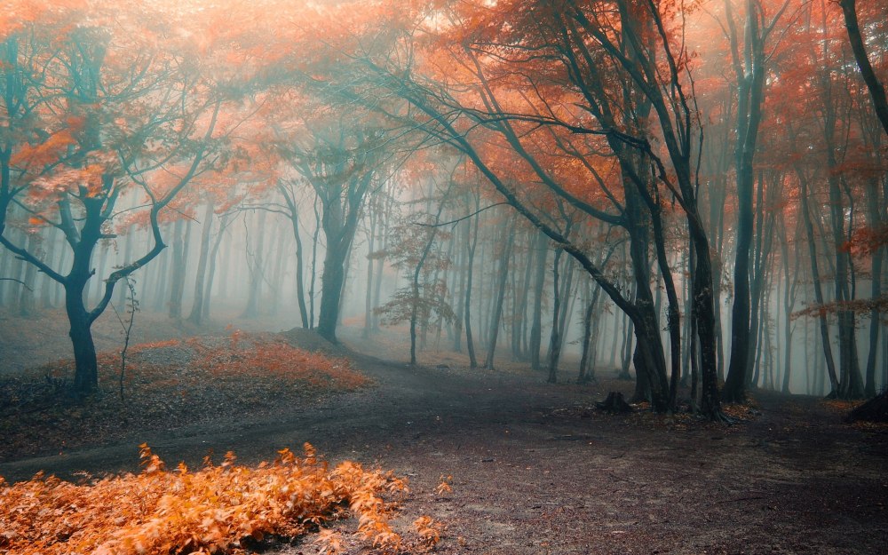 Природа осень