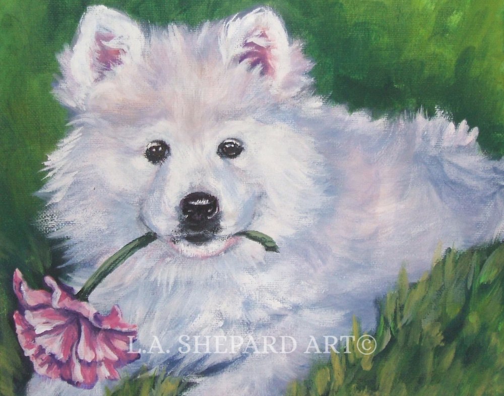 Cartoon vector of Samoyed PNG