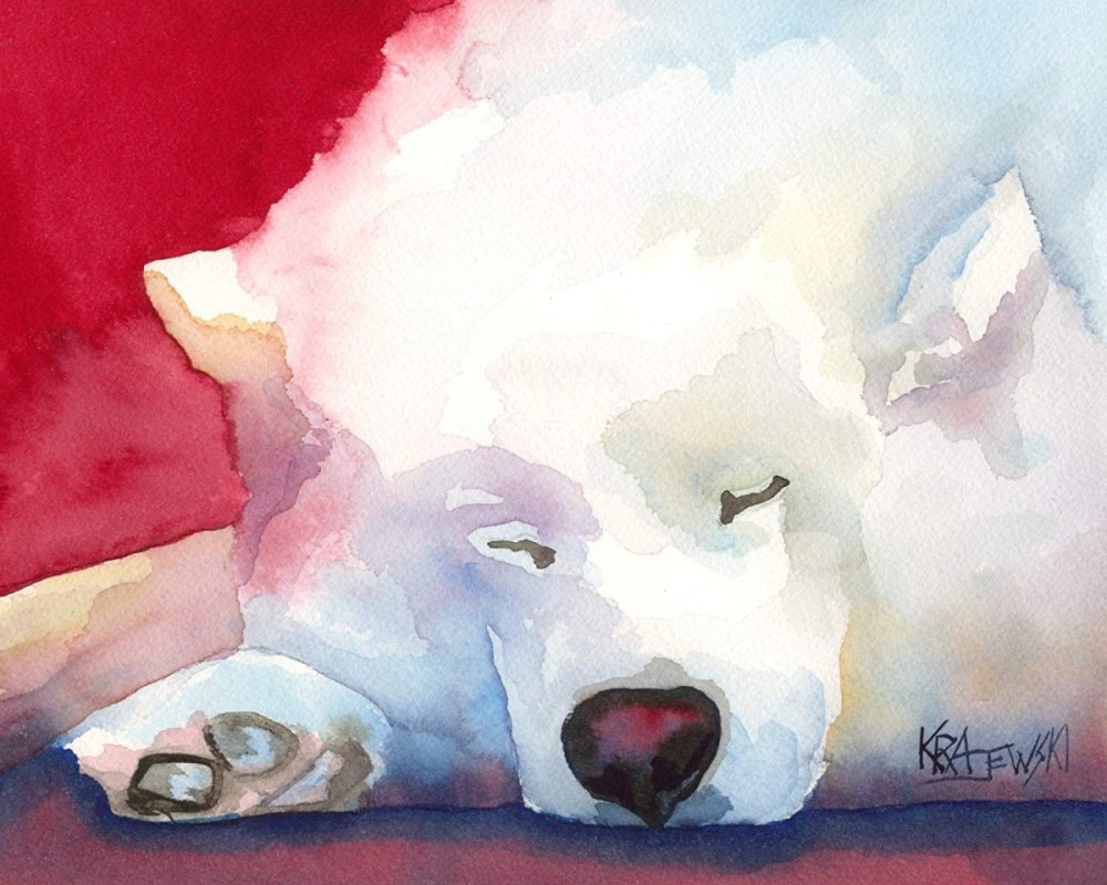 Samoyed логотип