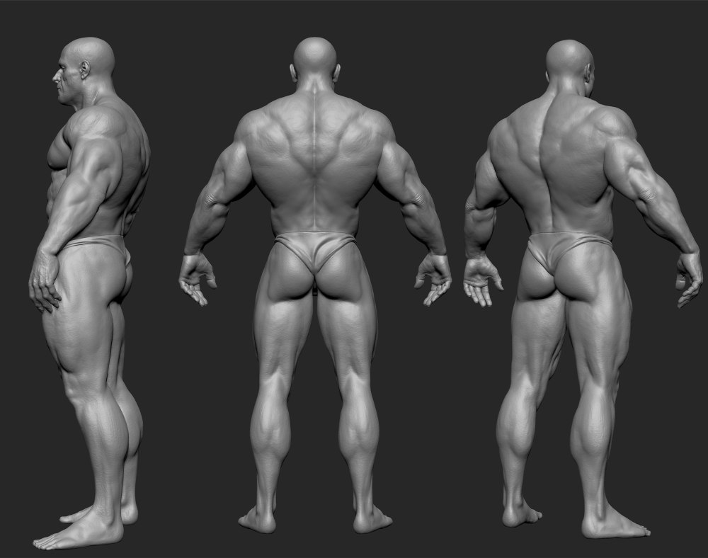 Референсы девушки turnaround