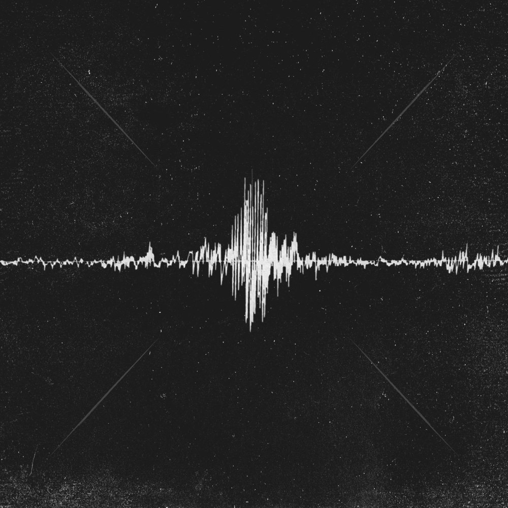 Whitewildbear - Burn
