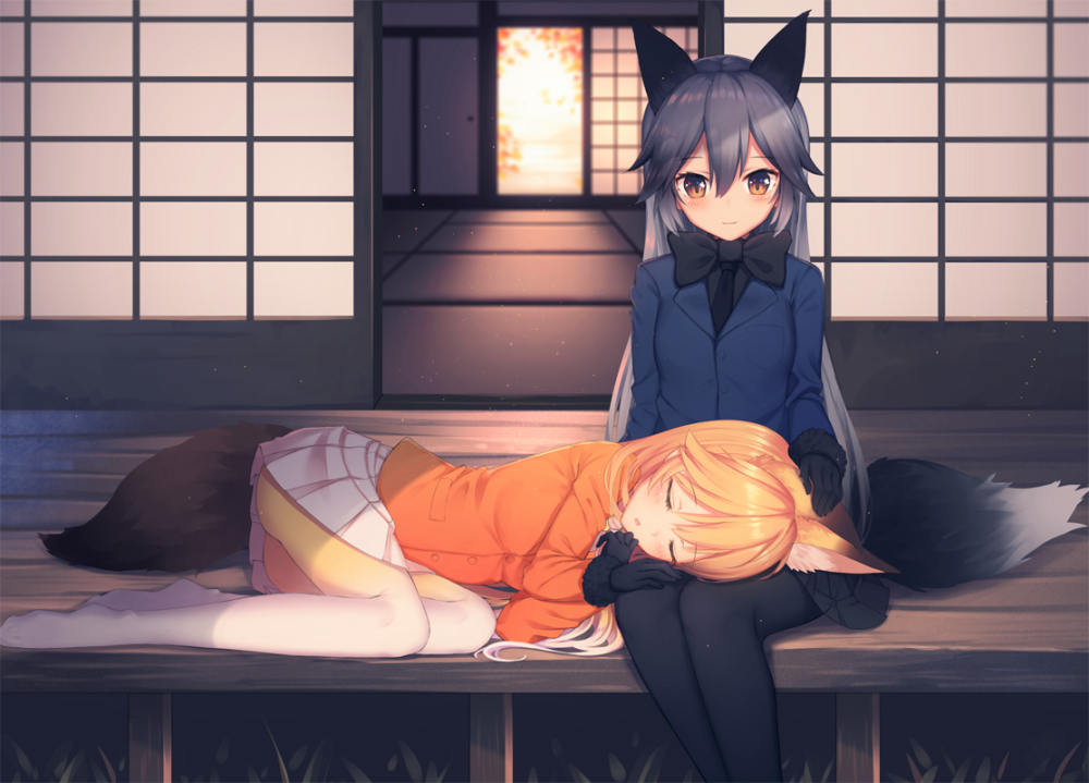 Ezo Red Fox Kemono friends