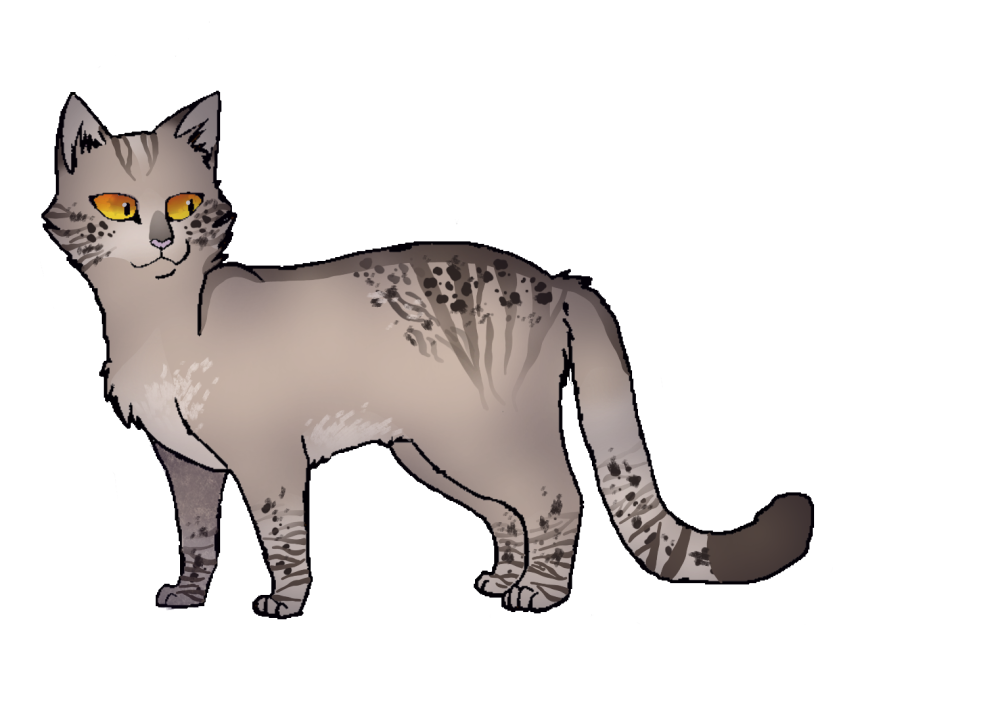 Коты Воители ветреная звезда
