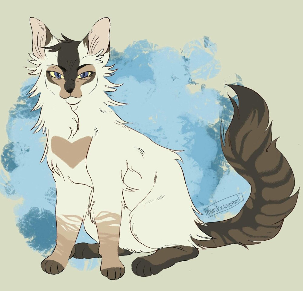 Коты Воители Иглохвостка