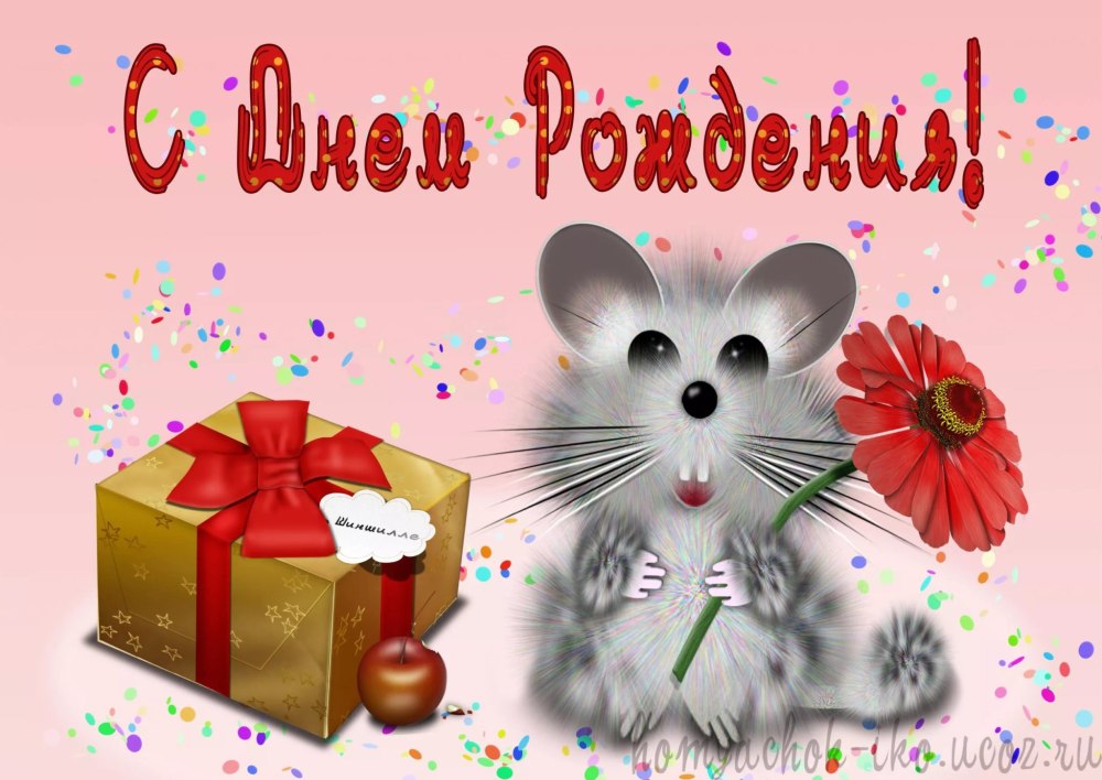 Красивые поздравления с днем рождения