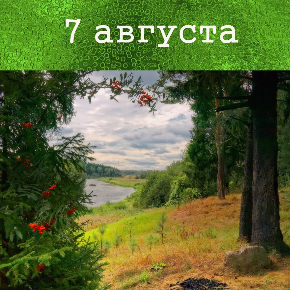 Август пейзаж