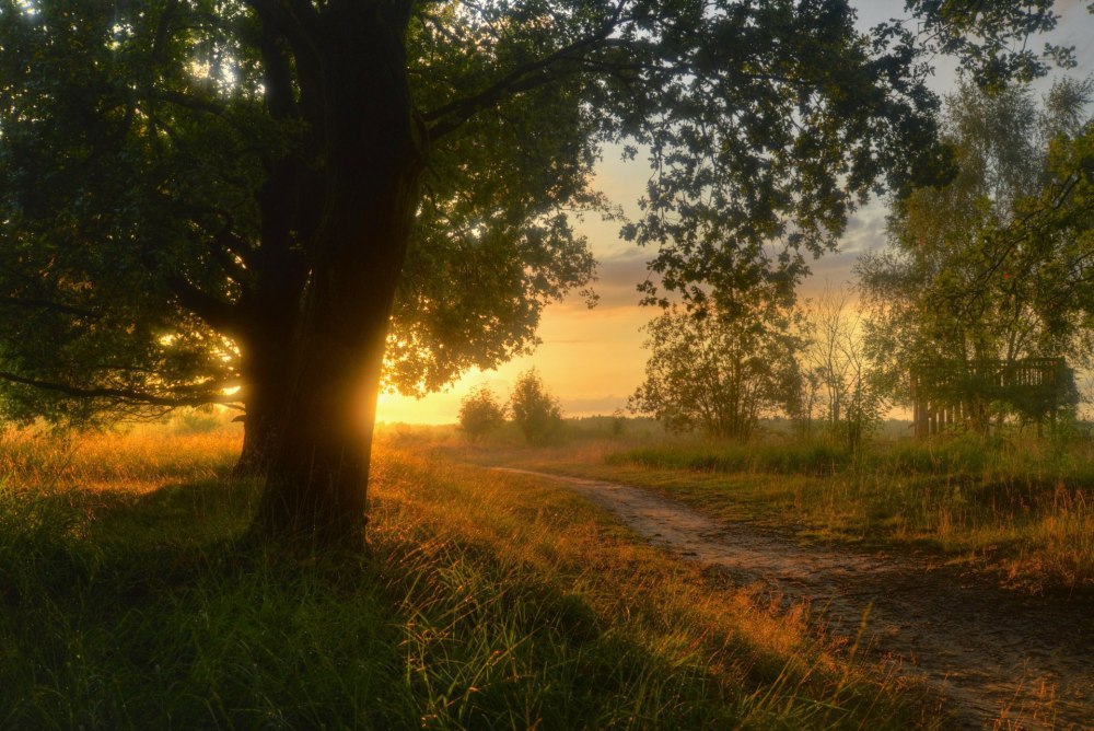 Красивая природа в августе