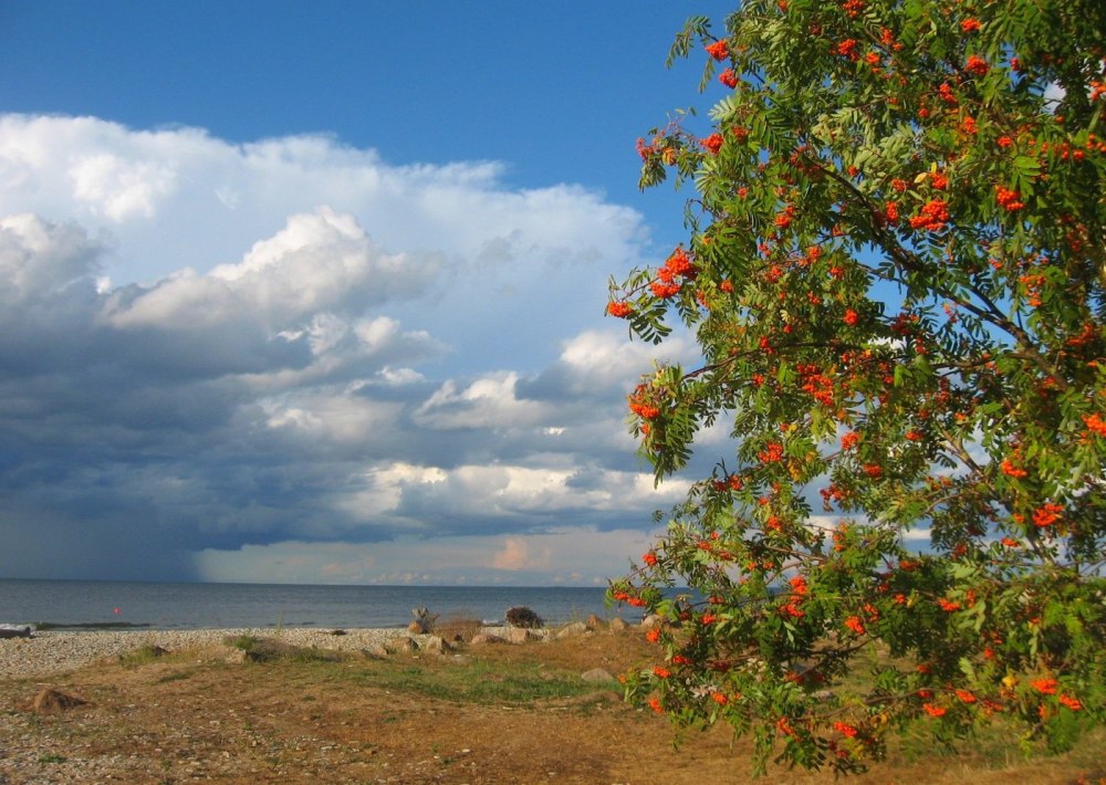 Осенний закат в поле