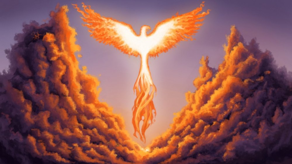 Firebird картинки для презентации