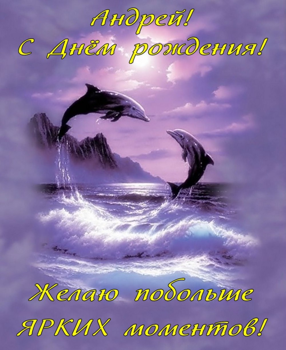 С днём рождения Андрюха прикольные