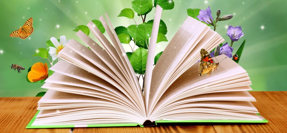 Книги на желтом фоне