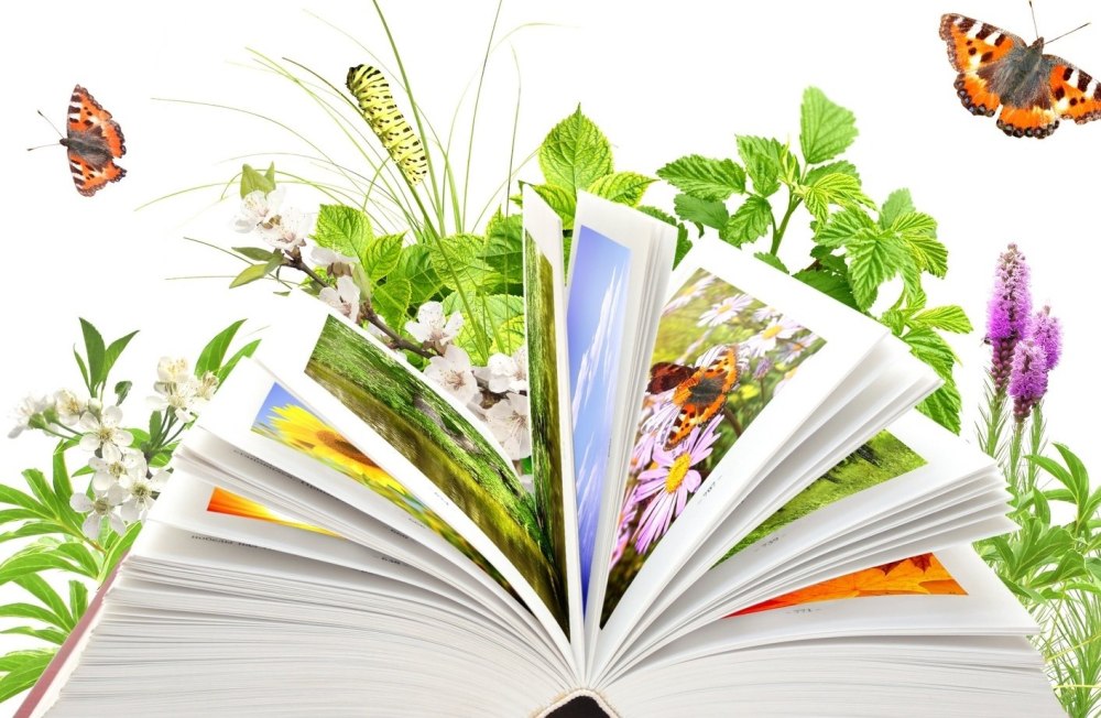 Фон для презентации книги о войне
