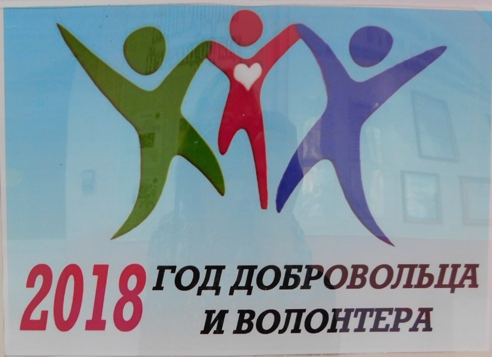 Добровольцы России