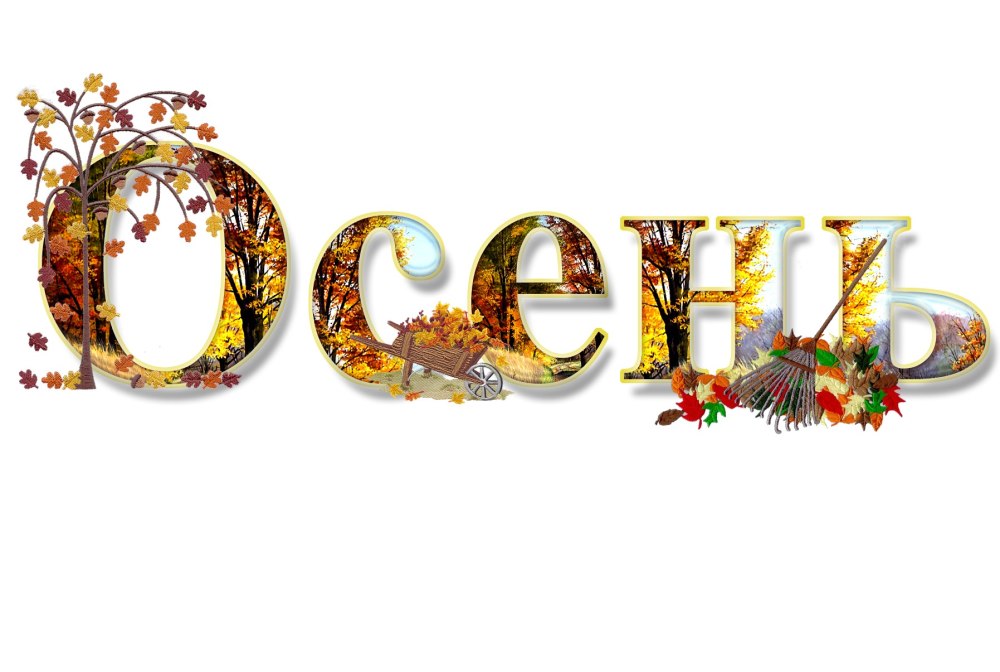 Рамка осенние листья