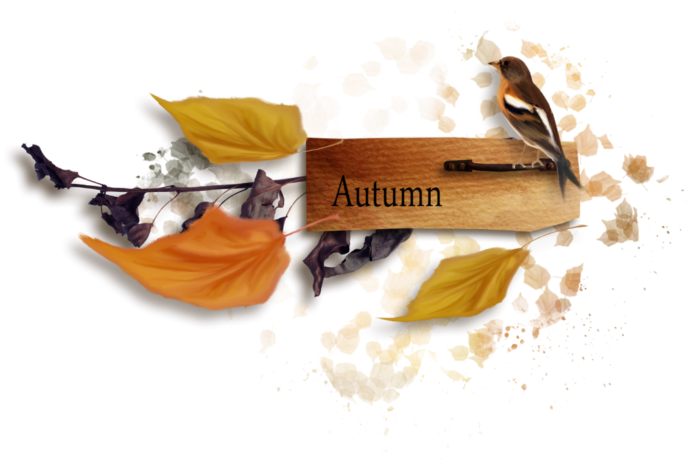 Autumn надпись