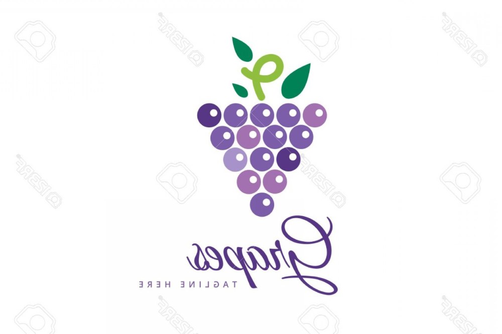 Виноградная лоза логотип