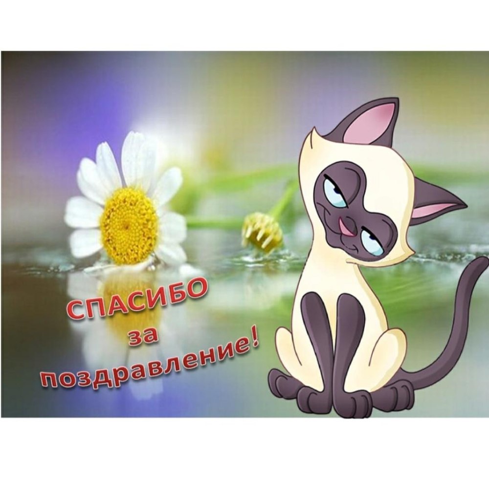Спасибо всем за поздравления