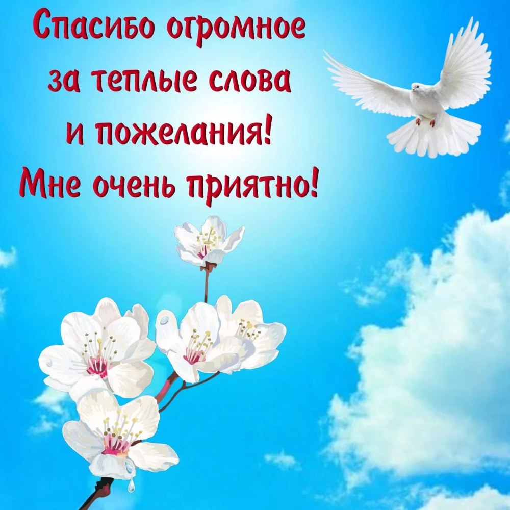 Дорогие коллеги с днем медицинского работника