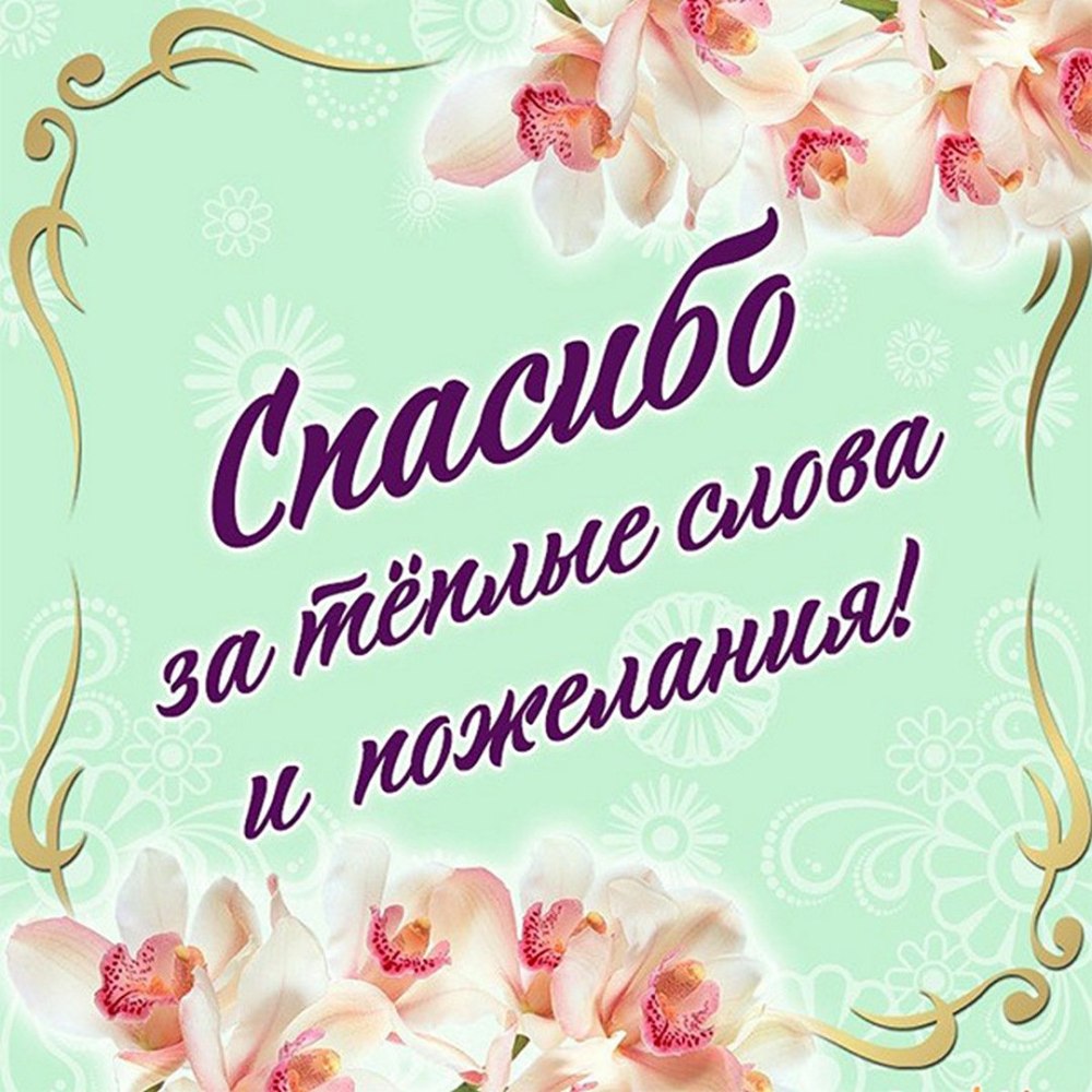 Дорогие друзья спасибо за поздравления