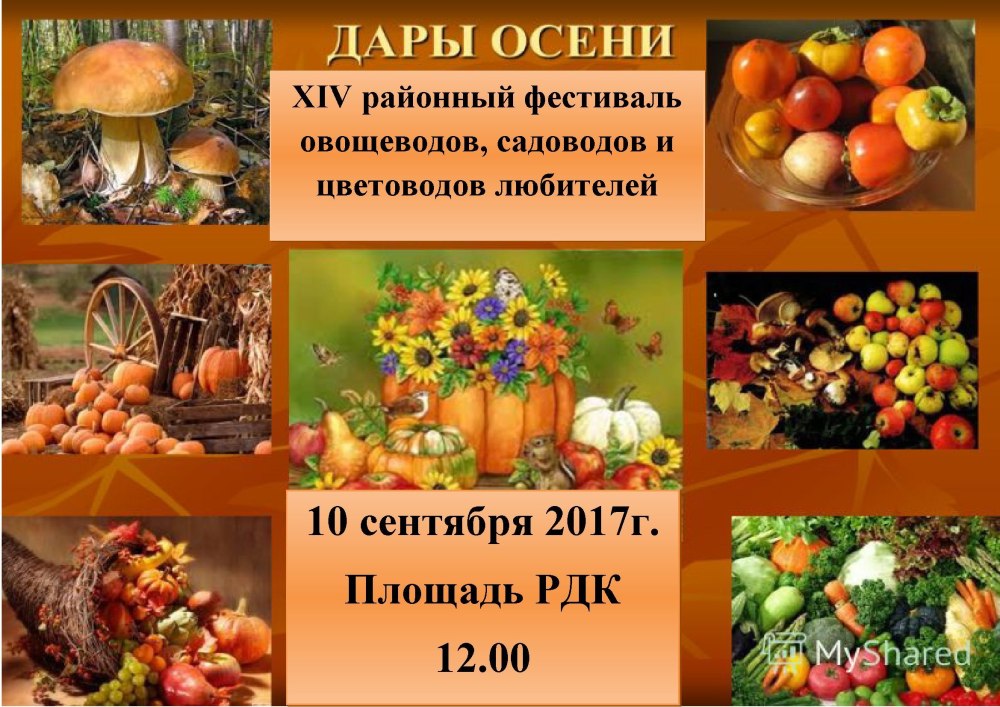 Урожай клипарт