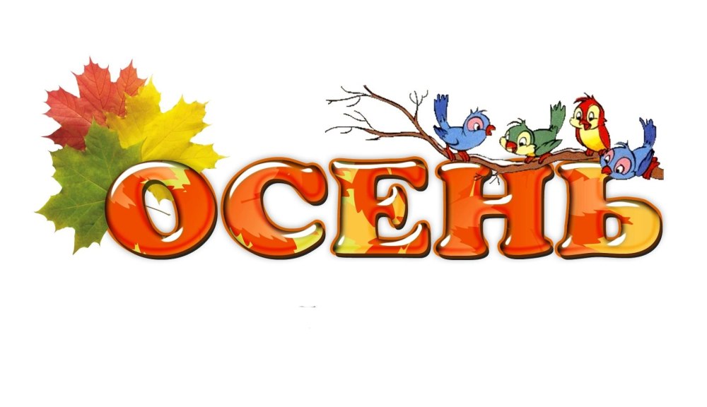 Осенний урожай