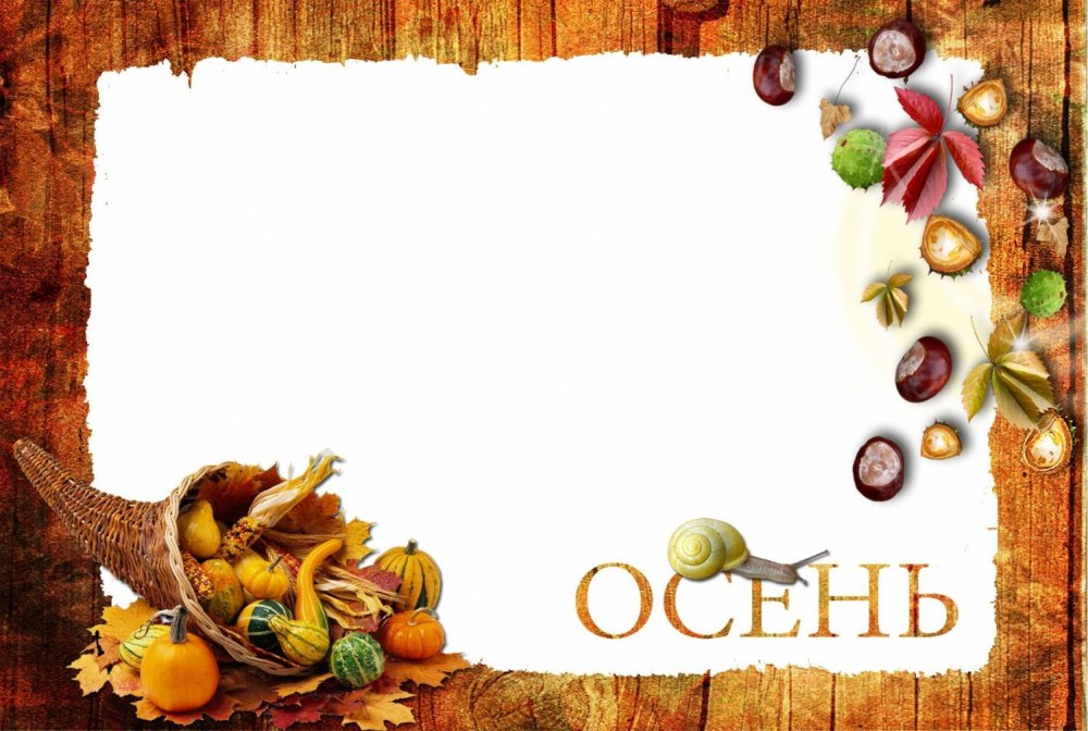 Осенние овощи